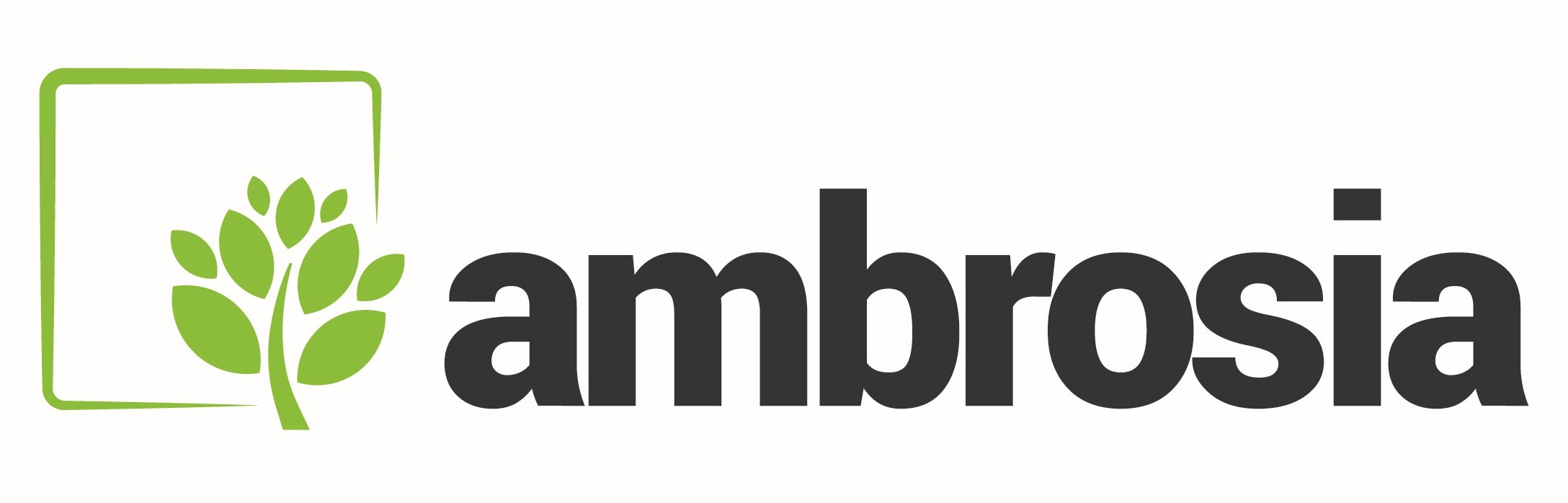 Ambrosia Basis weiss 4C POS 01 002